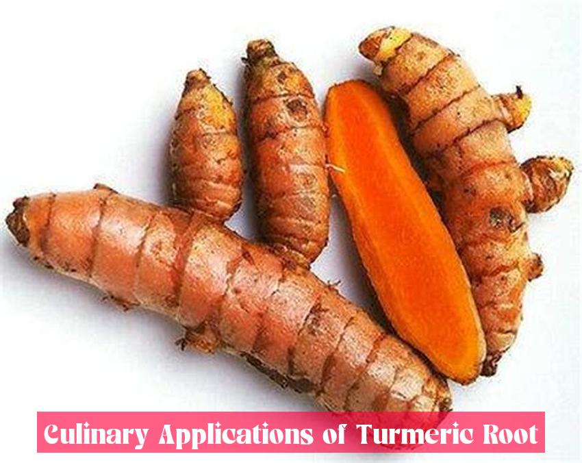 Culinary Applications of Turmeric Root