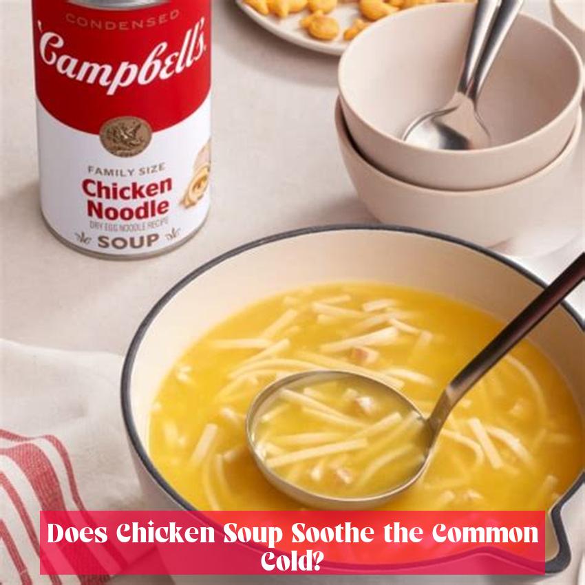 Does Chicken Soup Soothe the Common Cold?