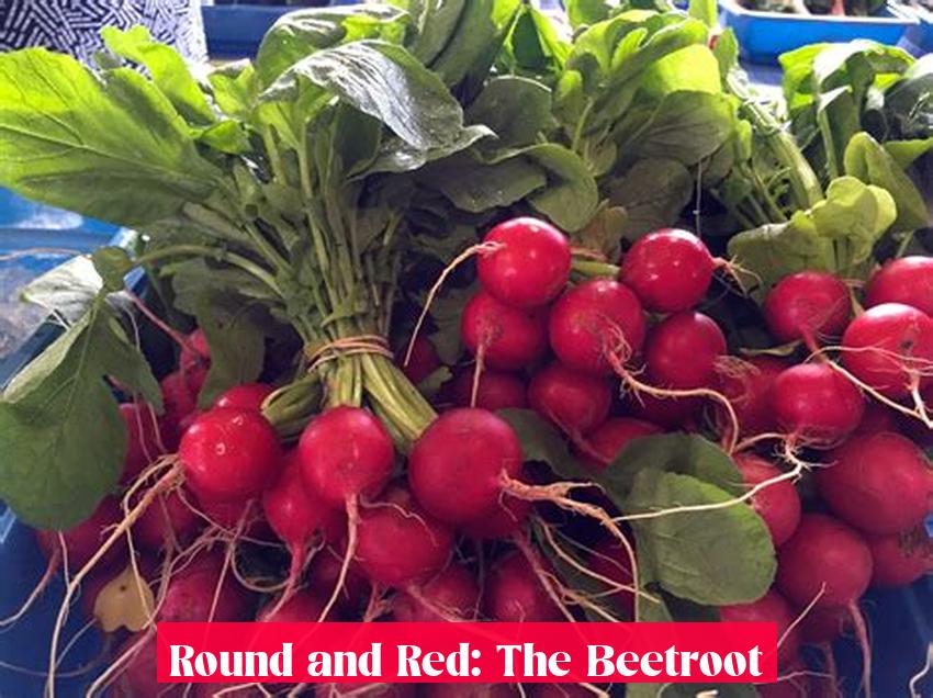 Round and Red: The Beetroot