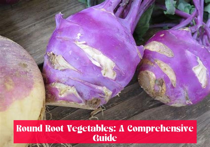 Round Root Vegetables: A Comprehensive Guide
