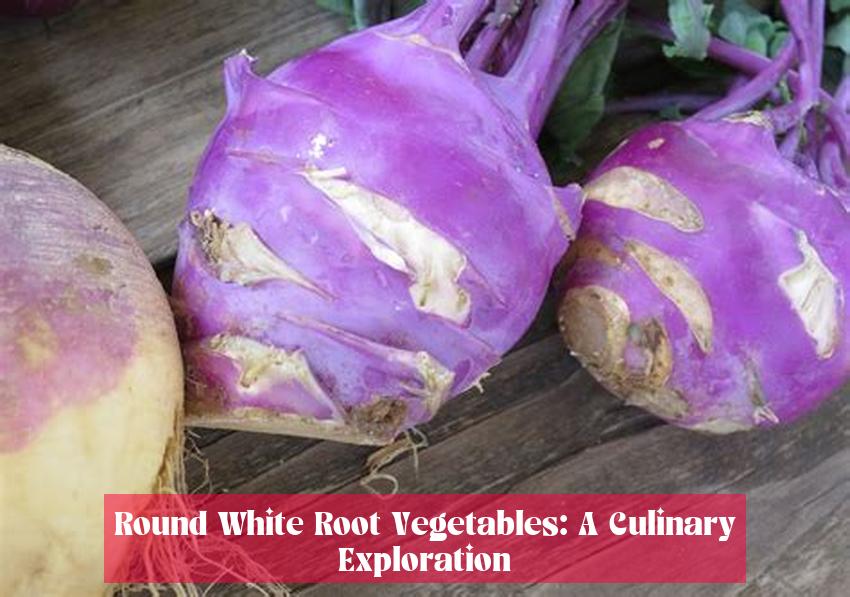 Round White Root Vegetables: A Culinary Exploration