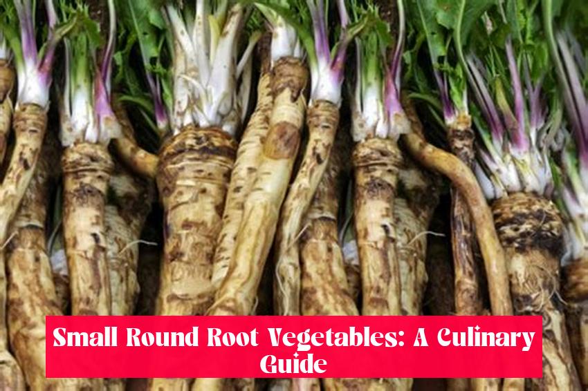 Small Round Root Vegetables: A Culinary Guide