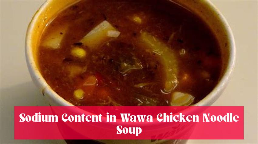Sodium Content in Wawa Chicken Noodle Soup