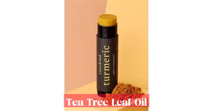 Tea Tree Leaf Oil