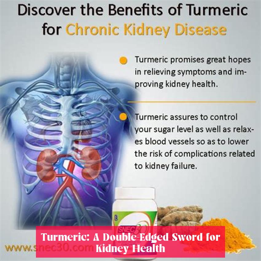 Turmeric: A Double-Edged Sword for Kidney Health