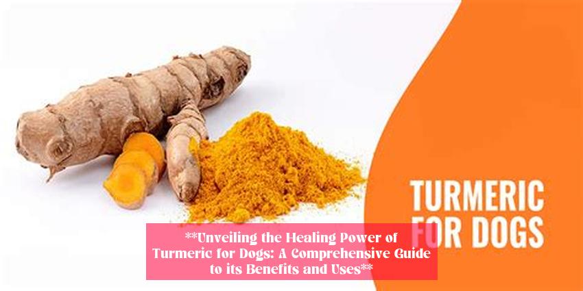 **Unveiling the Healing Power of Turmeric for Dogs: A Comprehensive Guide to its Benefits and Uses**