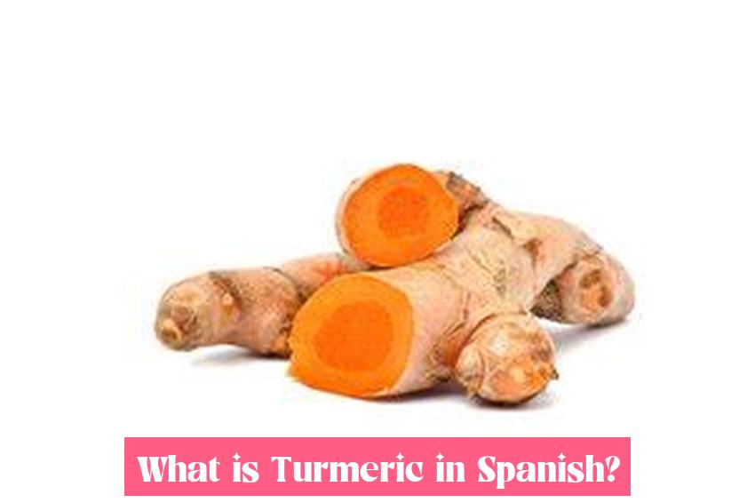 What is Turmeric in Spanish?