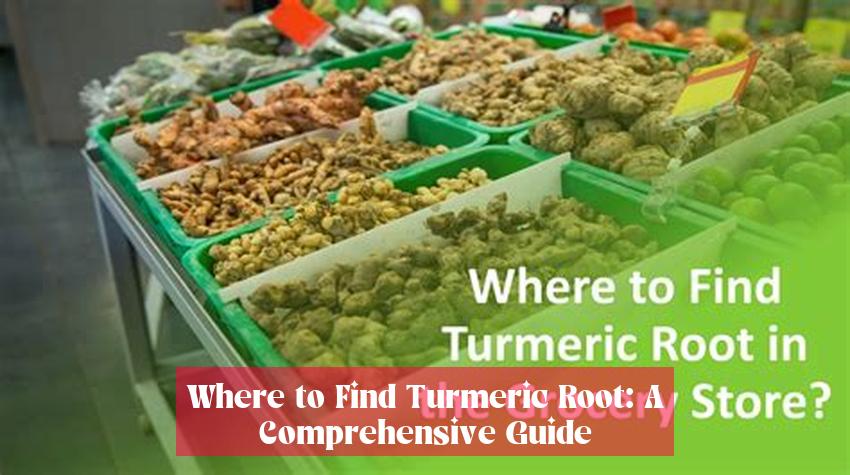Where to Find Turmeric Root: A Comprehensive Guide