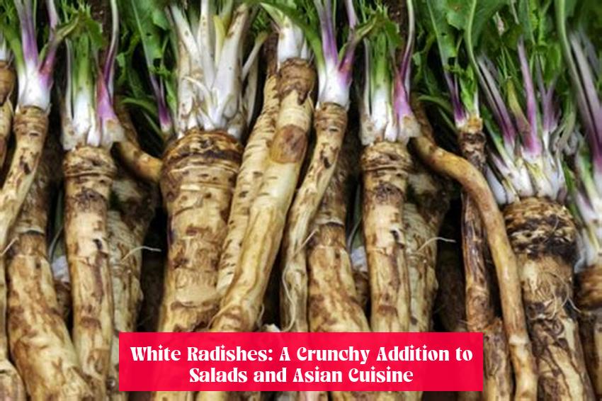 White Radishes: A Crunchy Addition to Salads and Asian Cuisine
